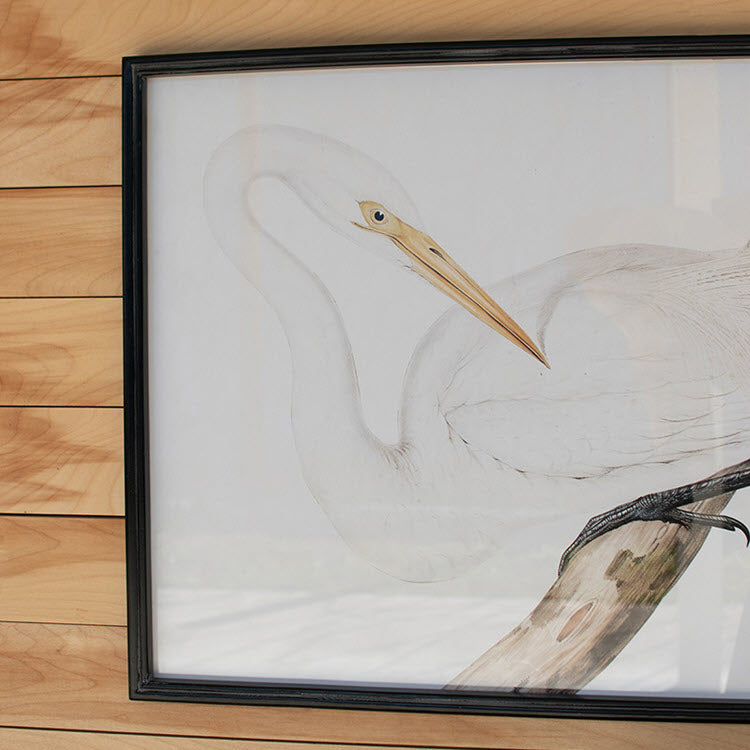 Framed Heron Prints Under Glass Set/2