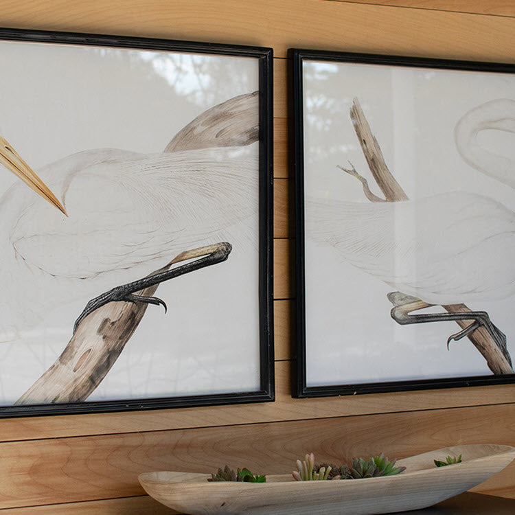 Framed Heron Prints Under Glass Set/2